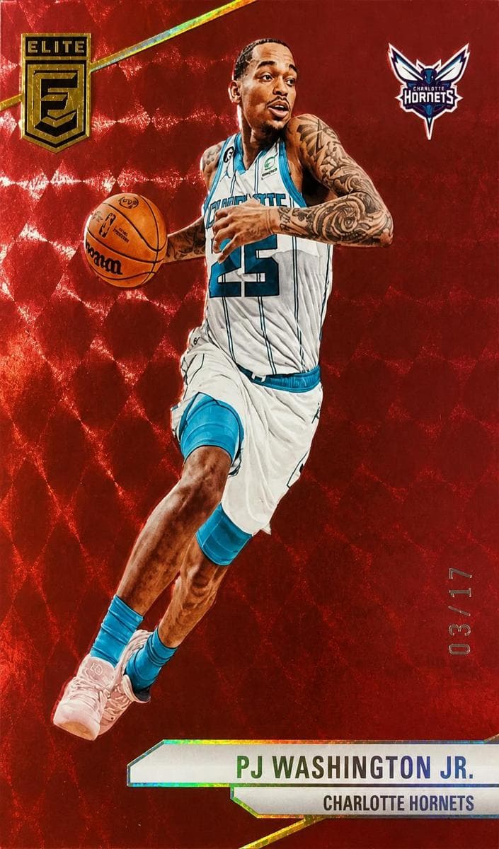 PJ Washington Jr. #1
