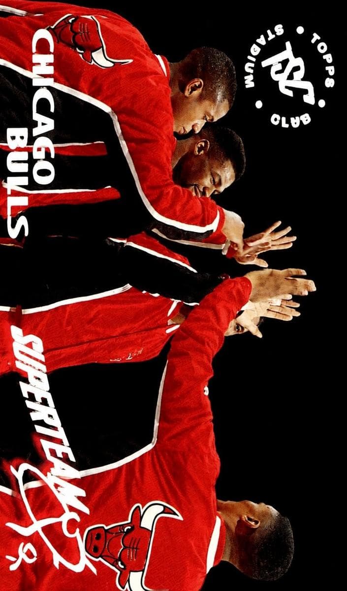 Chicago Bulls #4