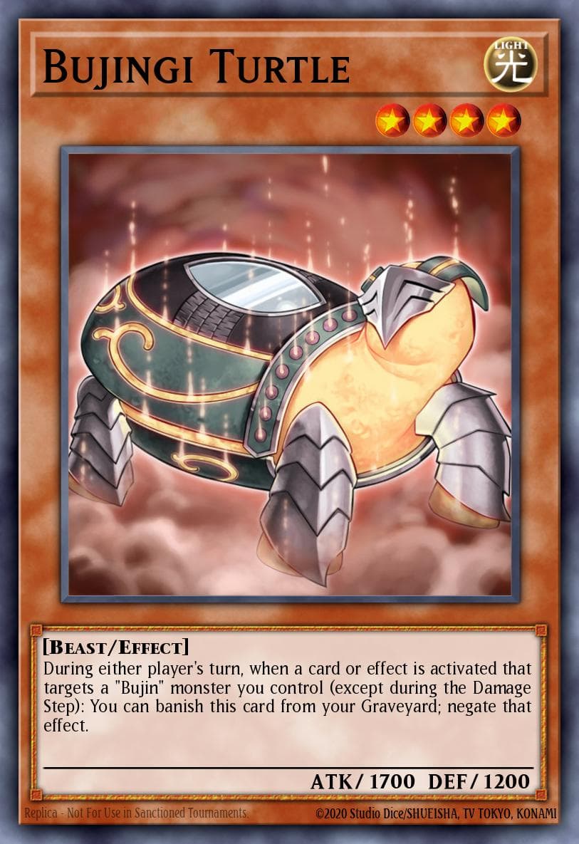 Bujingi Turtle #AP05-EN009