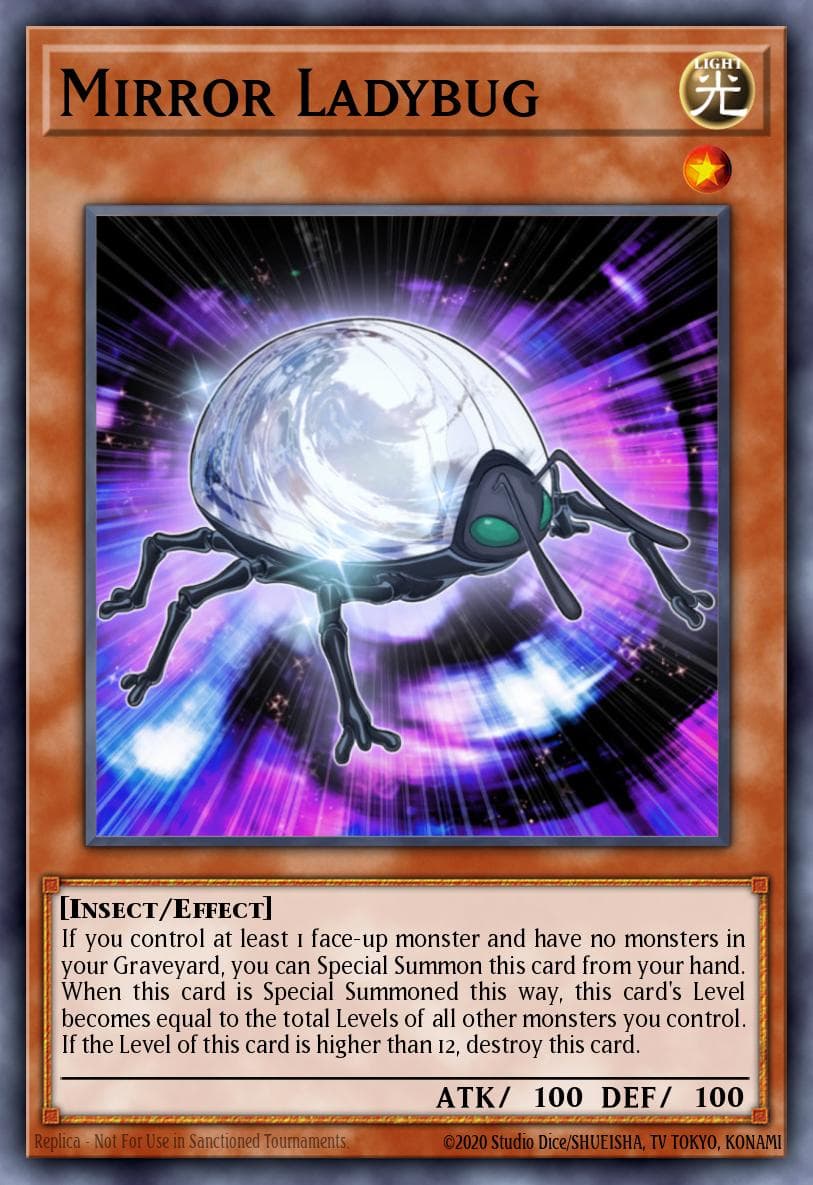 Mirror Ladybug #STBL-EN002