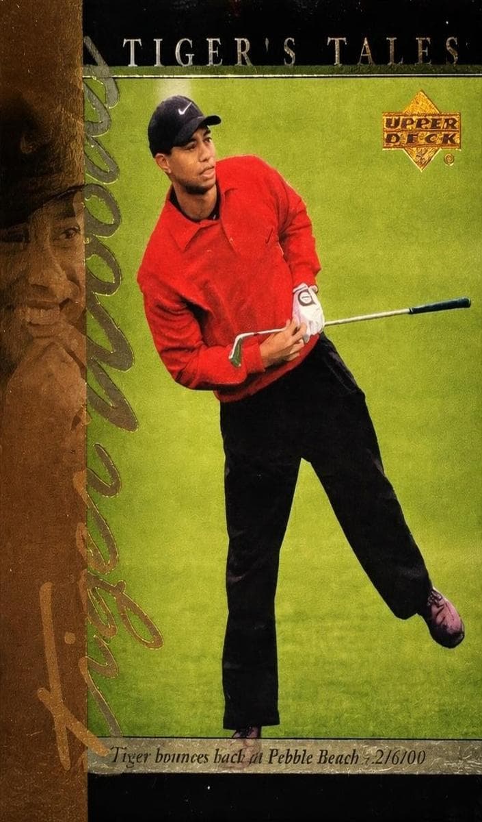 Tiger Woods #tt22