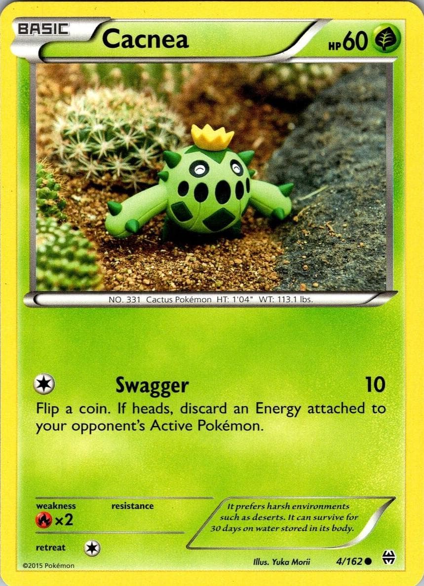 Cacnea #4