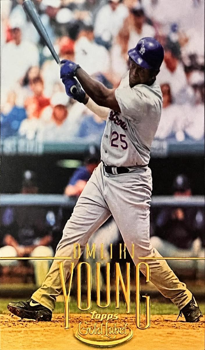 Dmitri Young 2002 topps