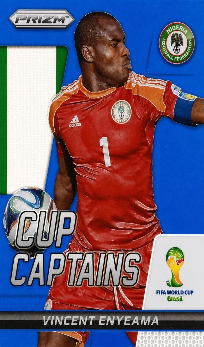 Vincent Enyeama #29