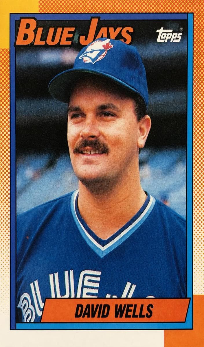 David Wells #229