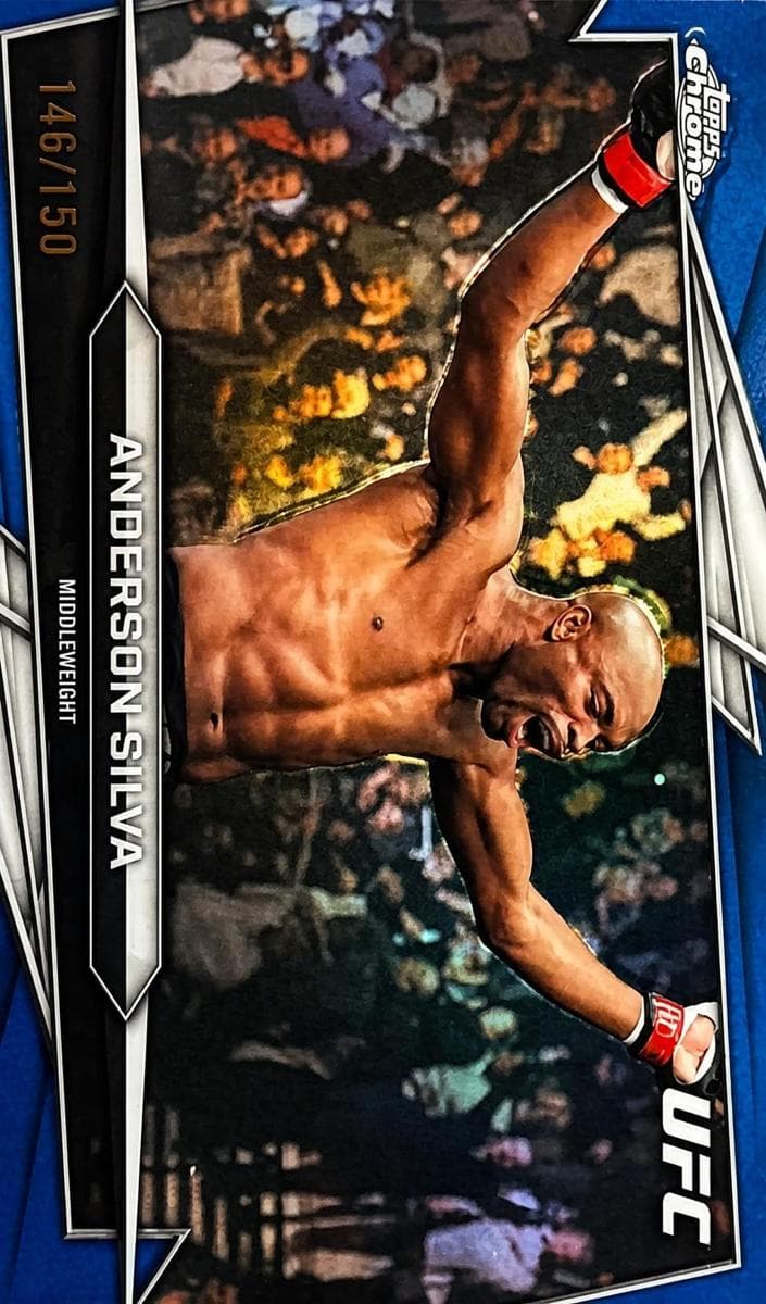 Anderson Silva #14