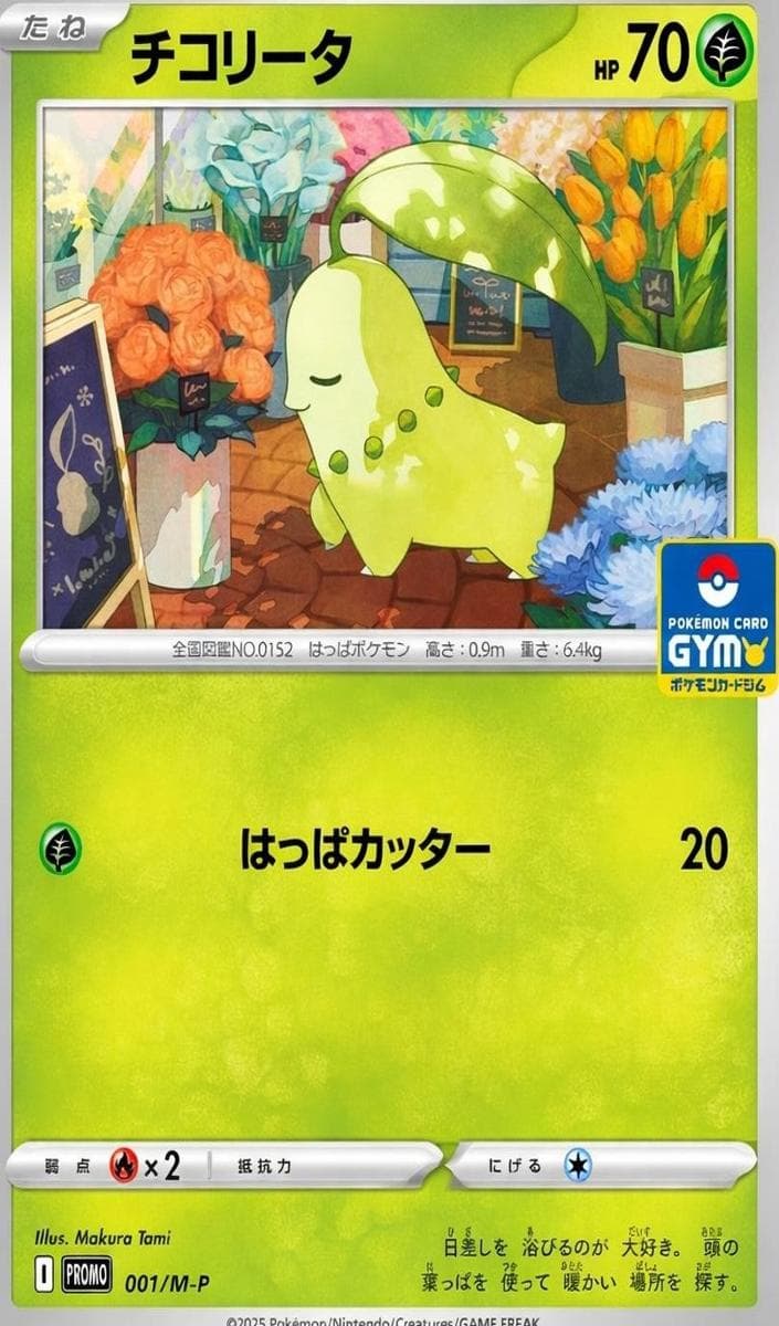 Chikorita #1