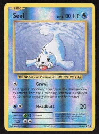 Seel #28