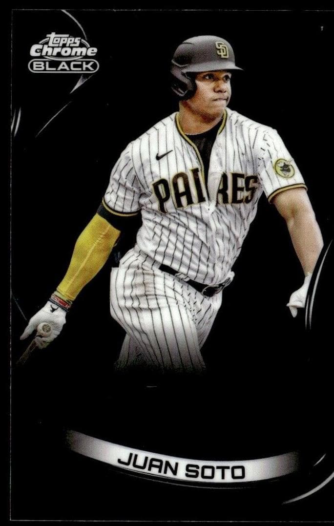 Juan Soto #91