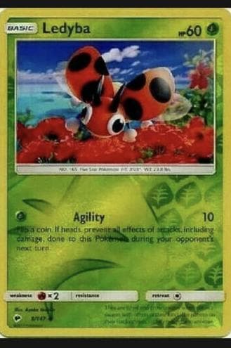 Ledyba #9