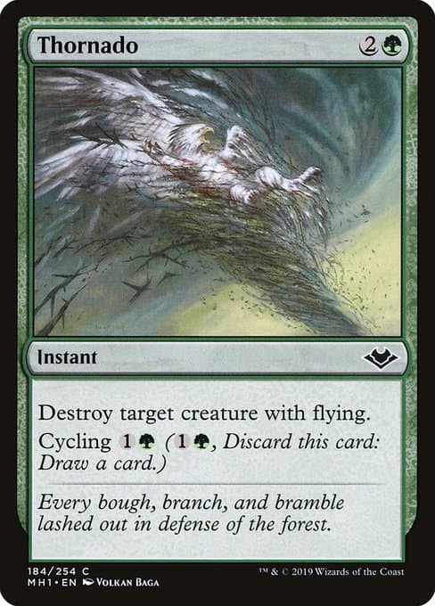 Thornado 2019 Magic: The Gathering Modern Horizons