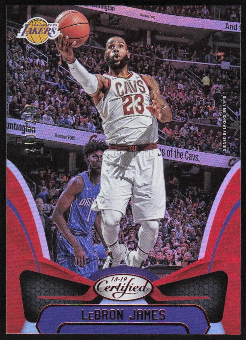 LeBron James #66