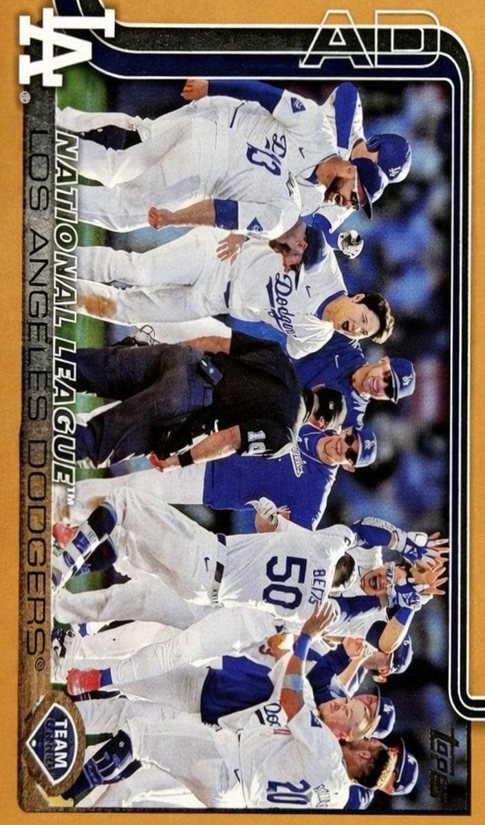 Los Angeles Dodgers #302