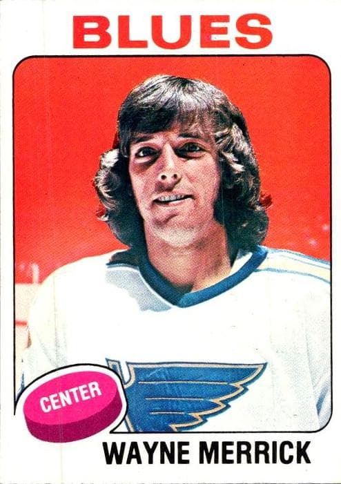 Wayne Merrick #228