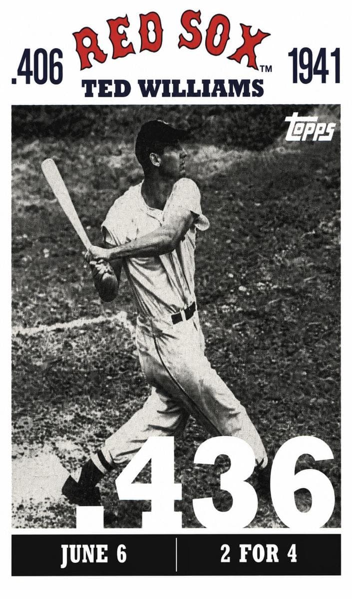 Ted Williams #tw17