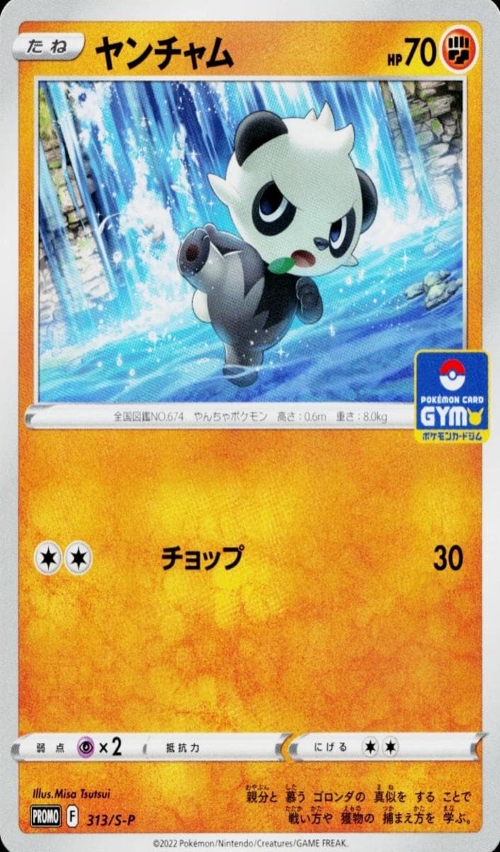 Pancham #313