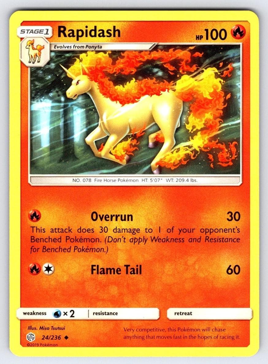 Rapidash #24