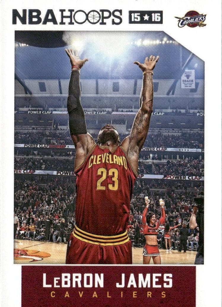 LeBron James #14