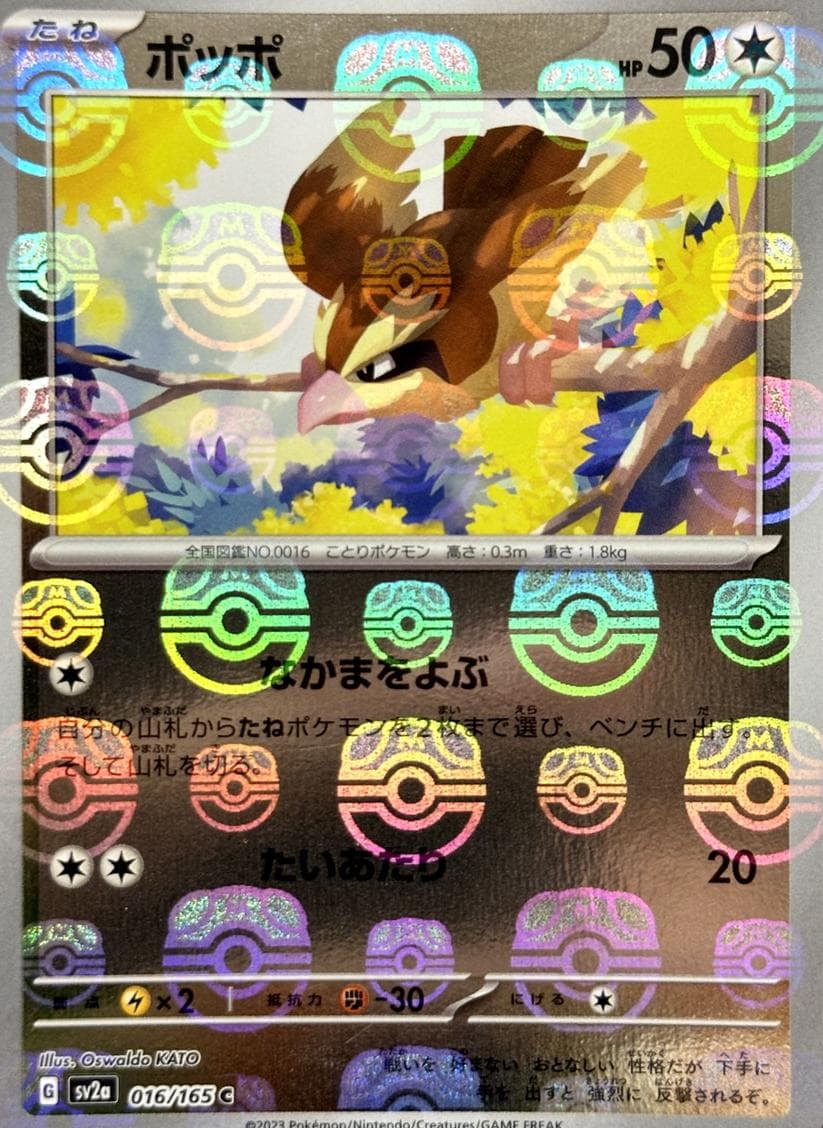 Pidgey #16