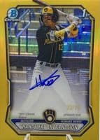 Handelfry Encarnacion trading card