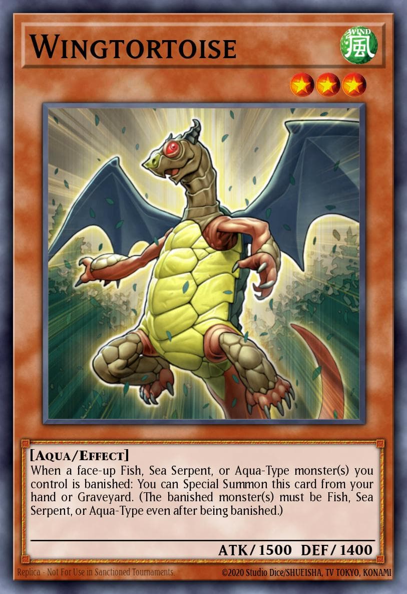 Wingtortoise #GENF-EN022
