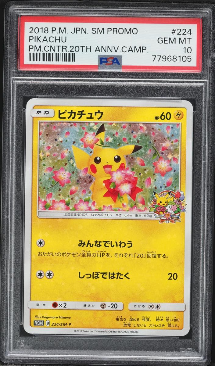 Pikachu #224