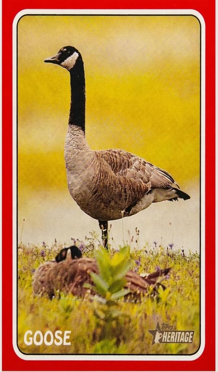 Goose 2024 topps Topps Heritage