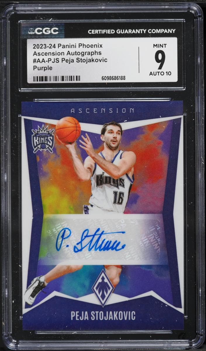 Peja Stojakovic 2023 panini Panini Phoenix