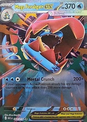 #43