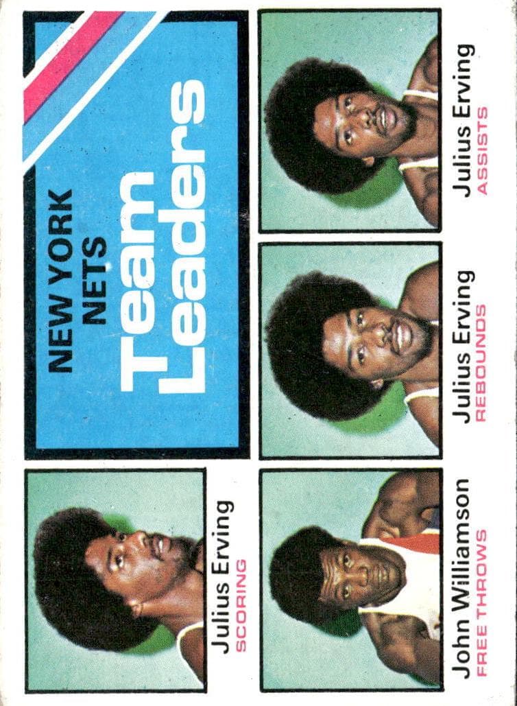 New York Nets Team Leaders (Julius Erving / John Williamson) #282