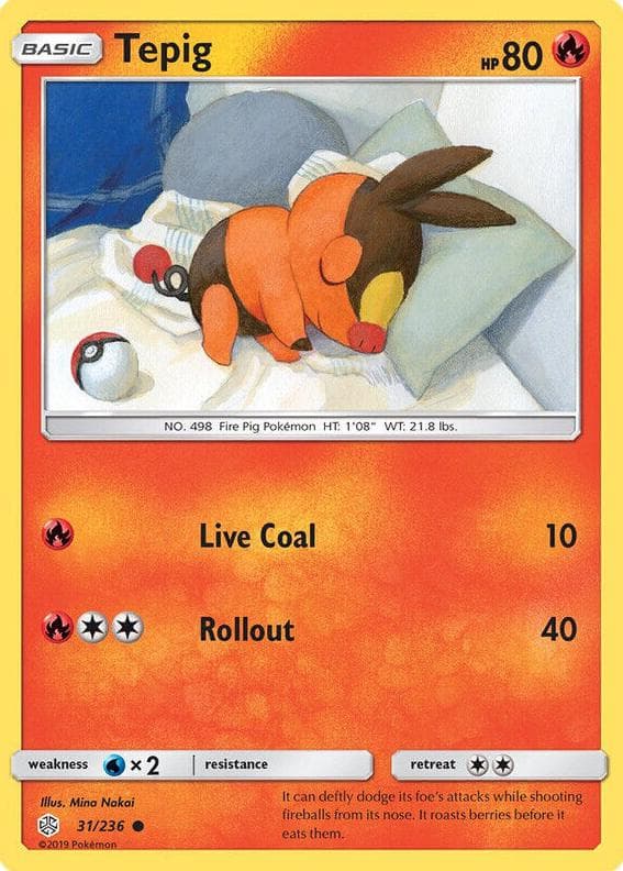 Tepig #31