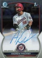 Andrew Pinckney trading card