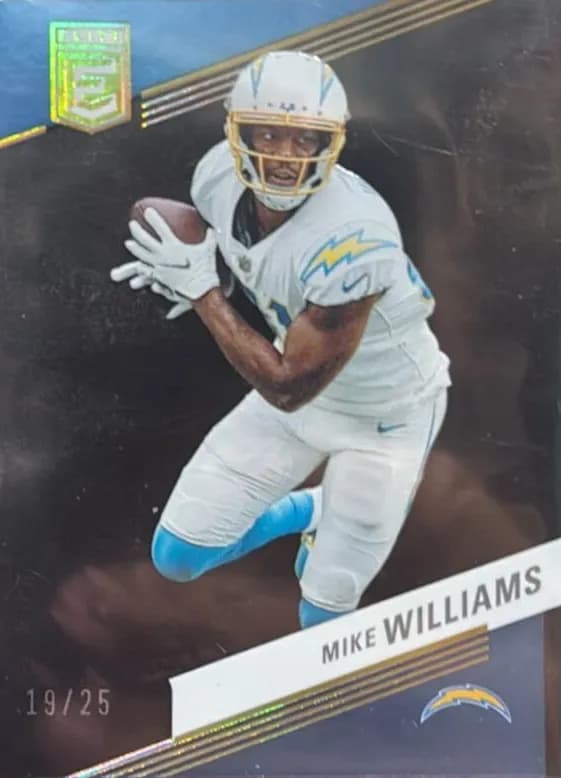 Mike Williams 2023 panini