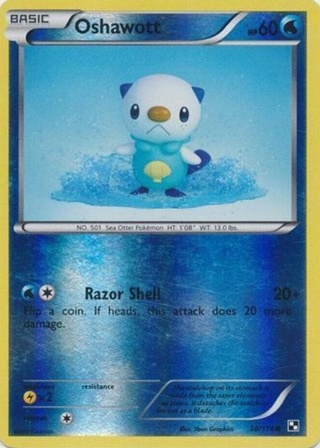 Oshawott #28