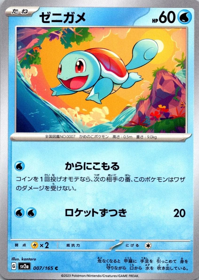 Squirtle #7