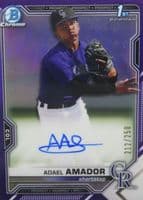 Adael Amador 2021 bowman