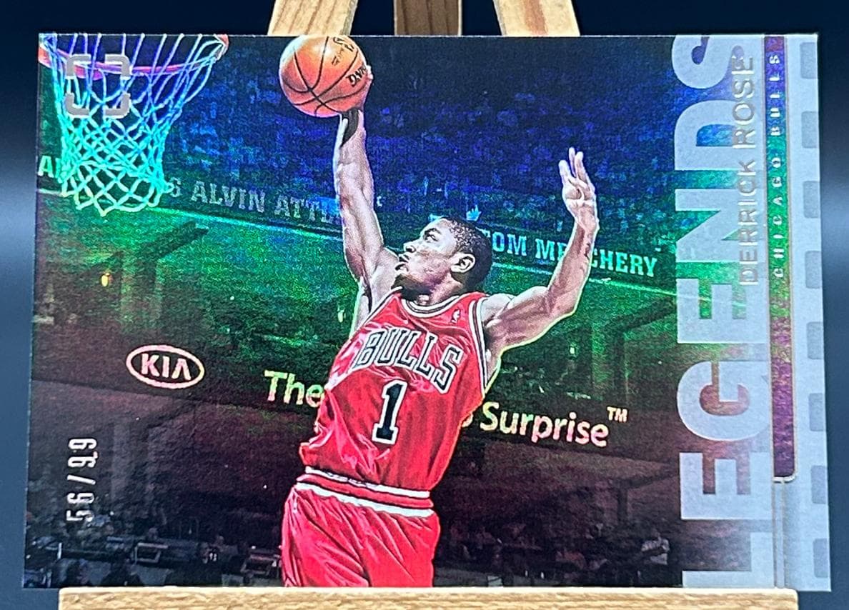 Derrick Rose #205