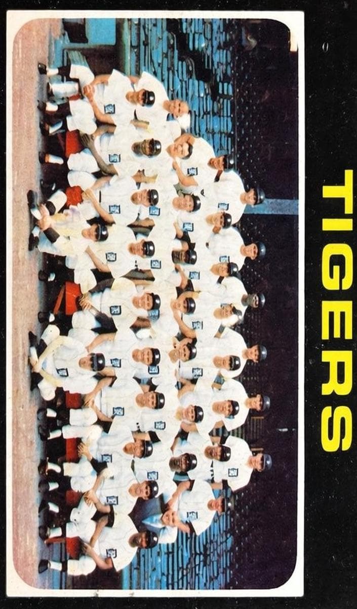 Detroit Tigers #336