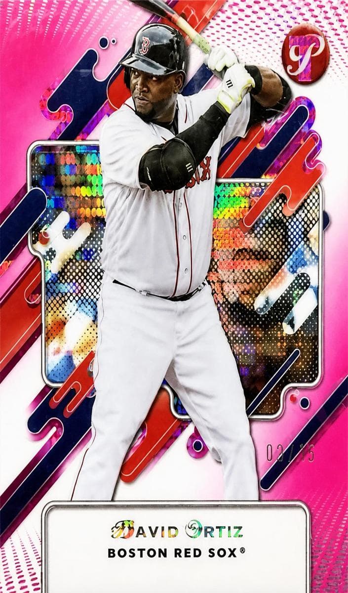 David Ortiz #91