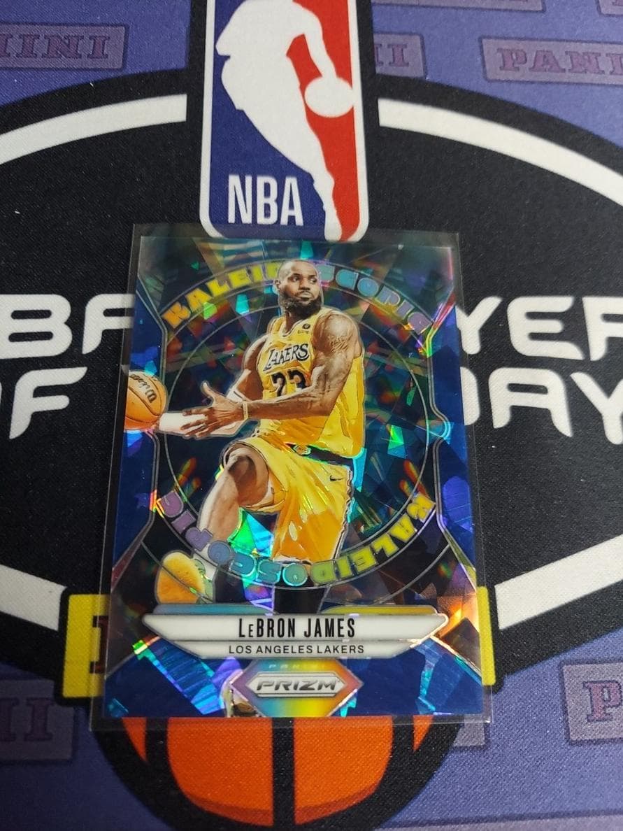 LeBron James 2024 panini Panini Prizm