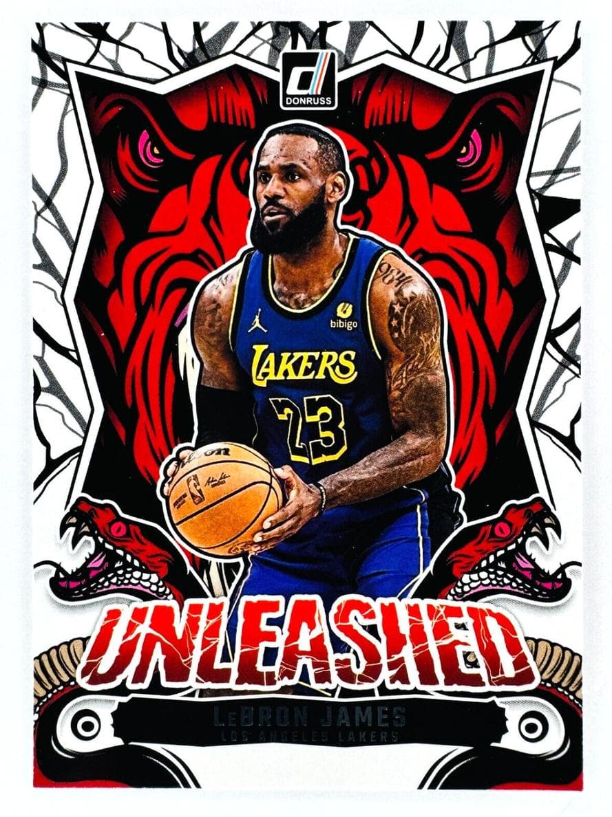 LeBron James #14