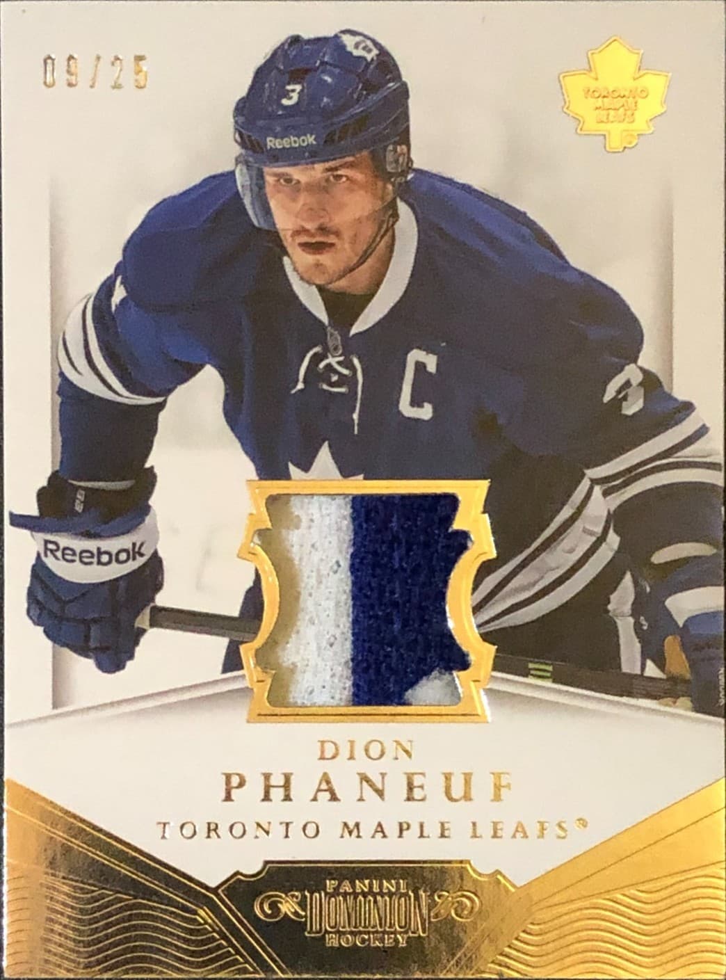 Game Worn 2013 Panini 2013 Panini