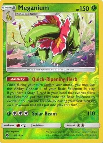 Meganium #8