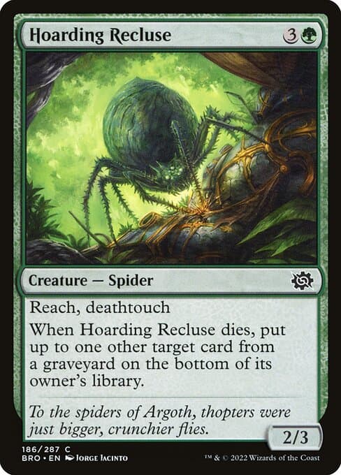 Hoarding Recluse 2022 Magic: The Gathering Brother's War