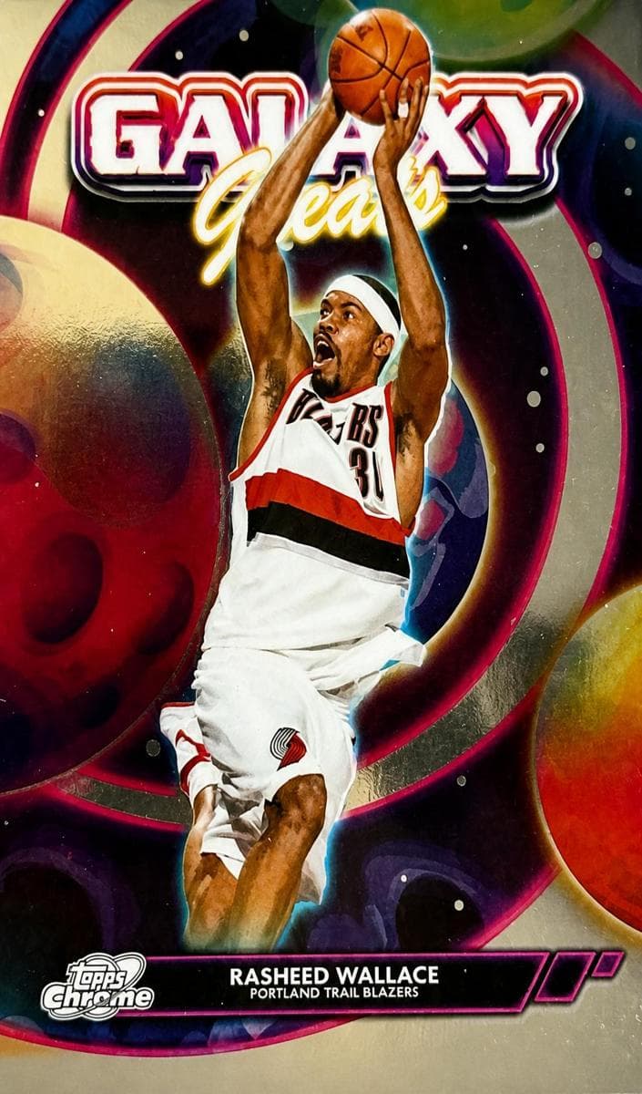 Rasheed Wallace trading card