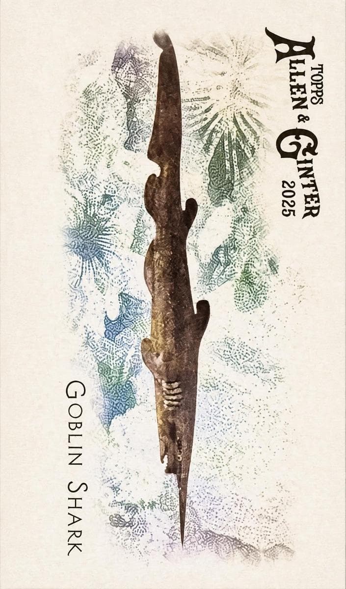 Goblin Shark 2025 topps Allen & Ginter