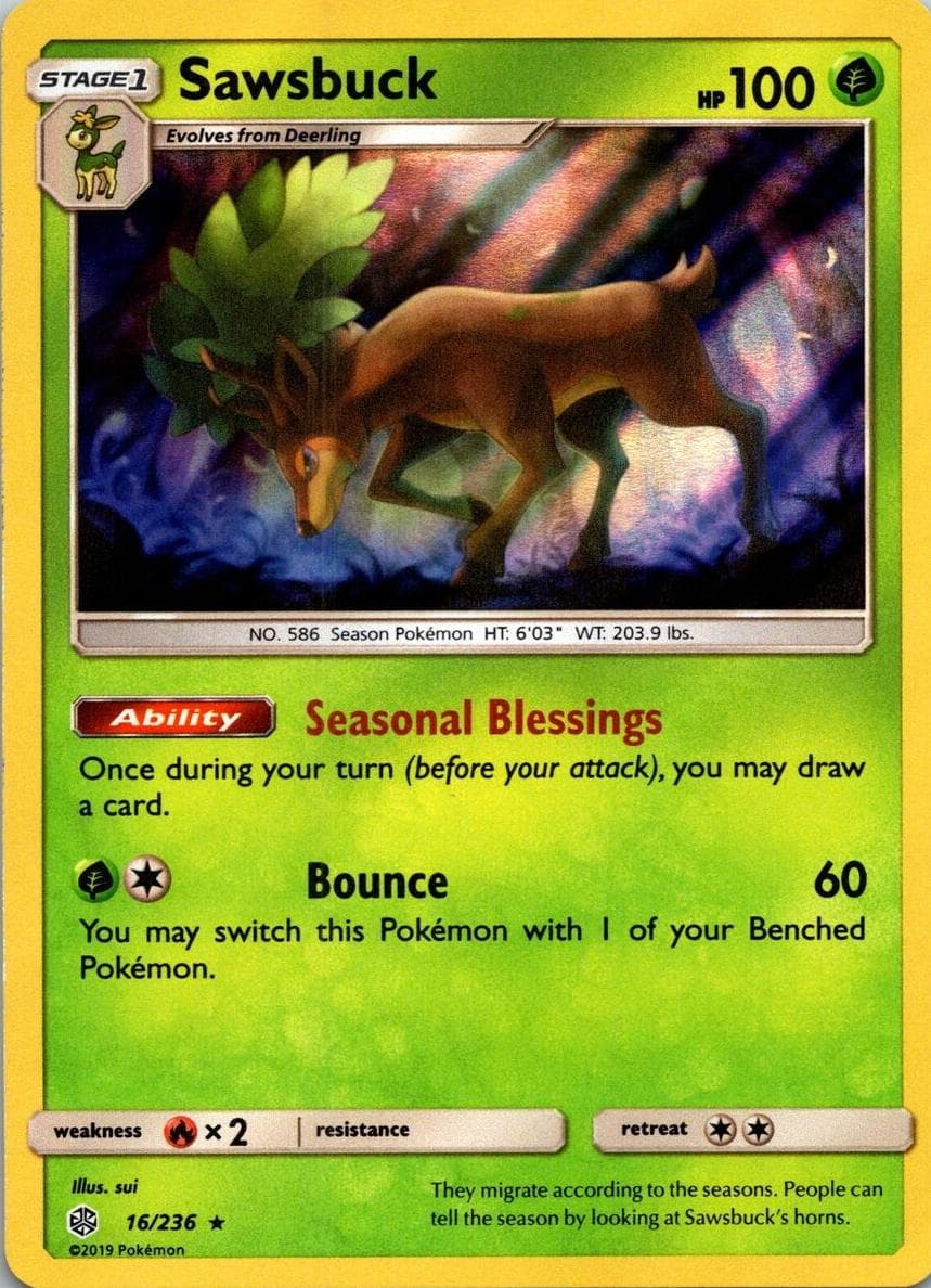 Sawsbuck #16