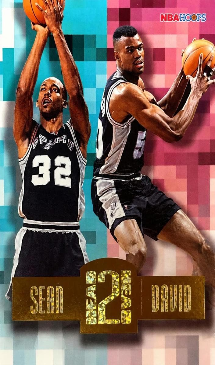 Sean Elliott / David Robinson #HH8