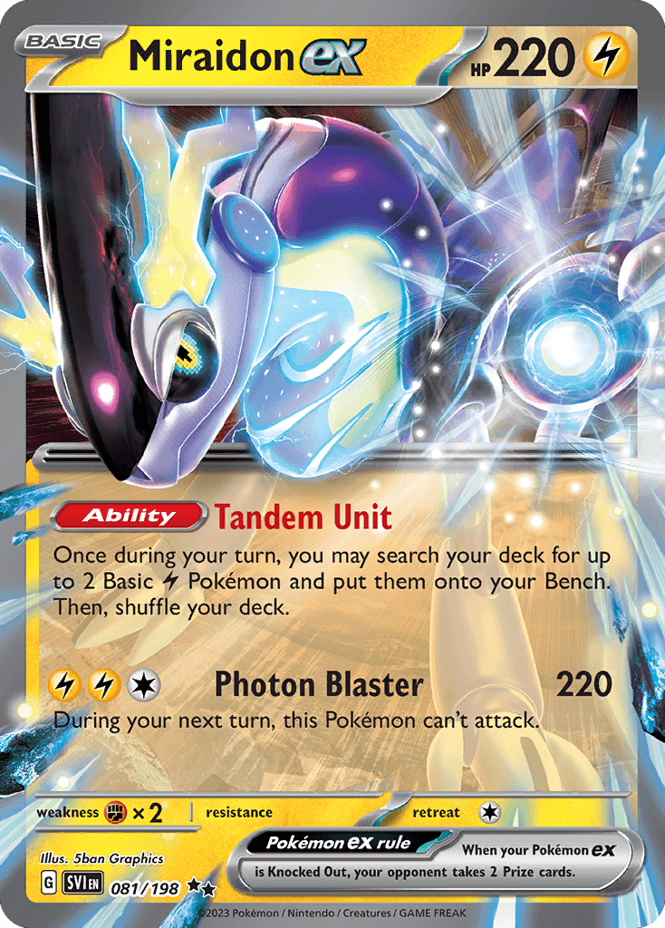 #81