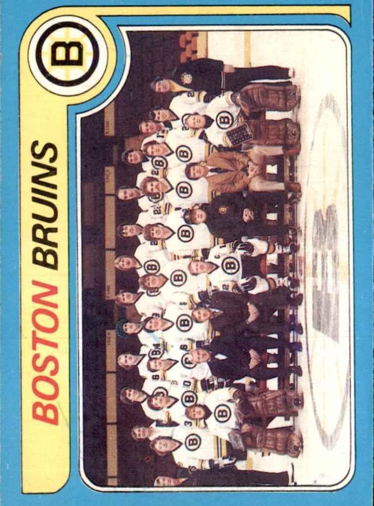 Bruins Team #245